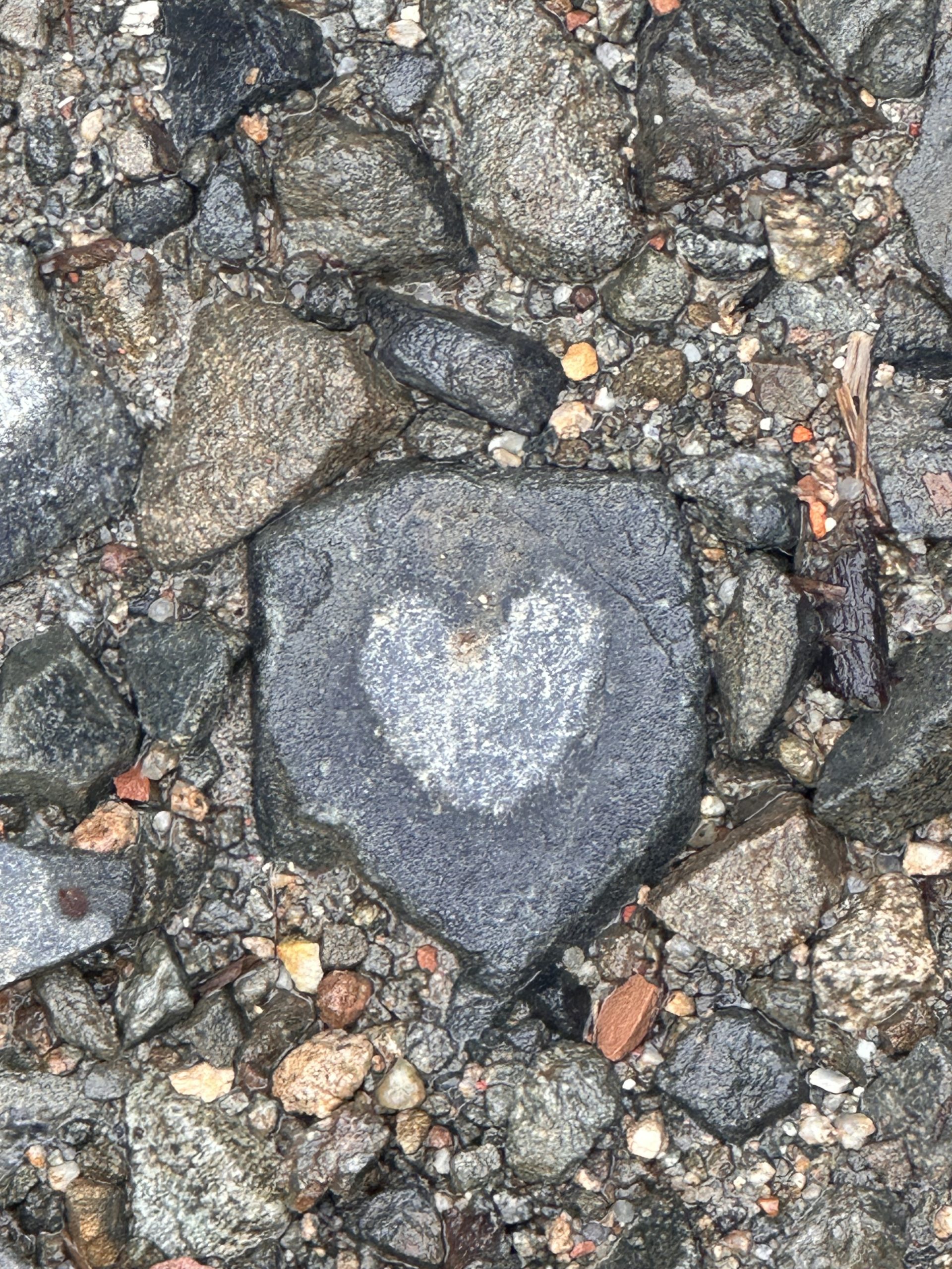 Hero Heal Retreats Colombia