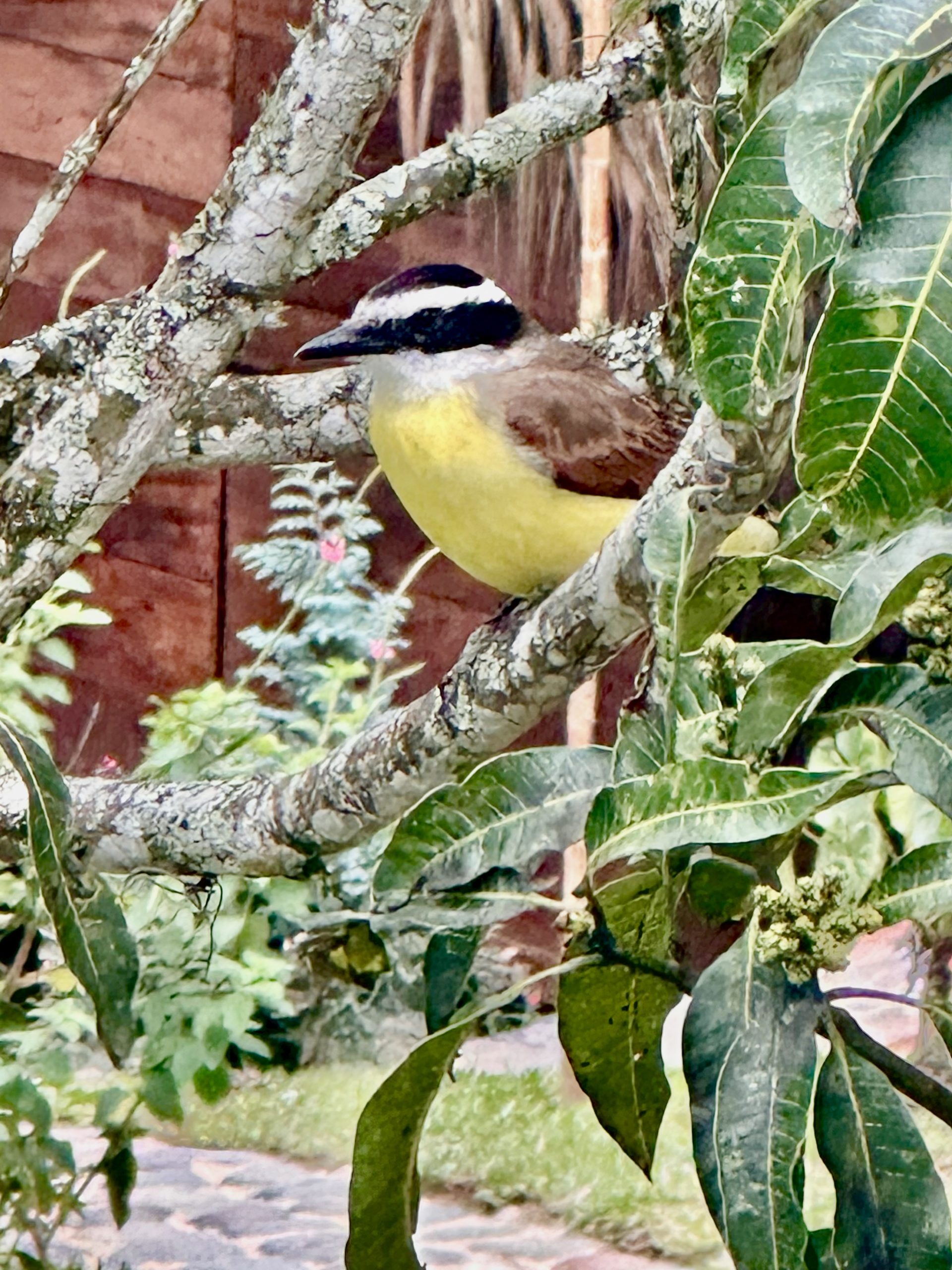 Hero Heal Retreats Colombia